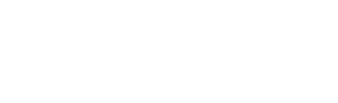 adeptaudio